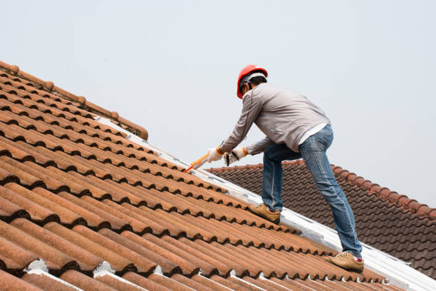 Best Storm Damage Roof Repair  in Malabar, FL